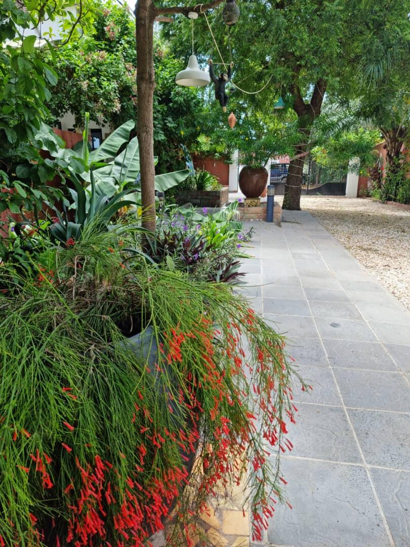 The welcoming entrance walkway to Luigi's Complex